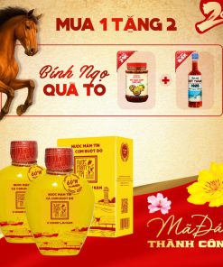 [Tặng Kiết Thành + Sốt Muối Chấm] Combo 2 Bình Gốm 60 Độ Đạm 500Ml Nước Mắm Tĩn Cá Cơm Ruột Đỏ Rin Nguyên Chất Truyền Thống